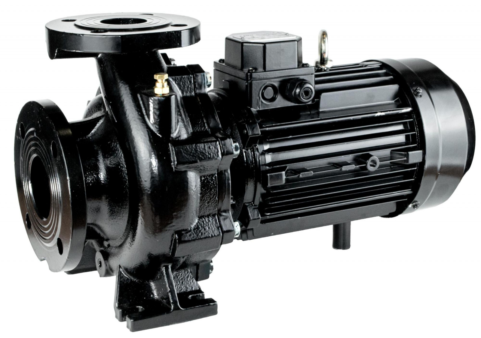 NBW 125-100-200/4-G (4 полюса двигателя, рабочее колесо - чугун)